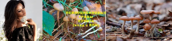 метамфетамин Ельня