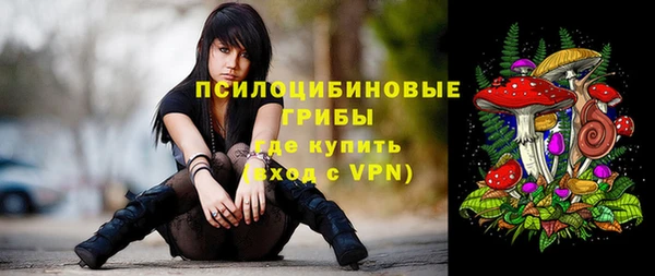 МДПВ Елизово