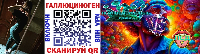 Купить  Новый Уренгой  Псилоцибиновые грибы прущие грибы 